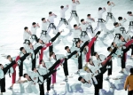 태권도시범 사진.jpg